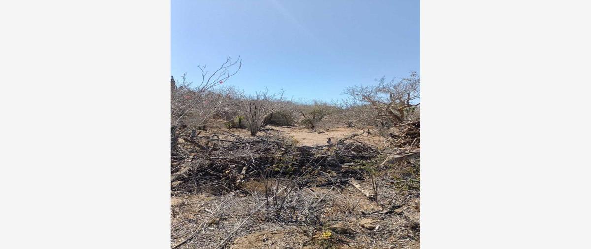 Foto de terreno habitacional en venta en 0 0, los cerritos, la paz, baja california sur, 27976814 No. 03