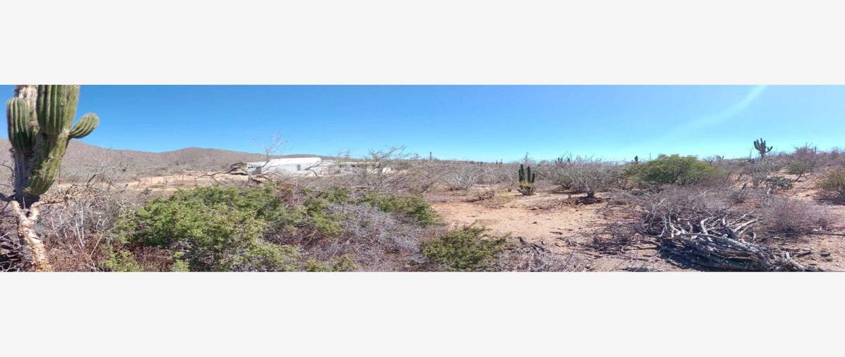 Foto de terreno habitacional en venta en 0 0, los cerritos, la paz, baja california sur, 27976814 No. 05