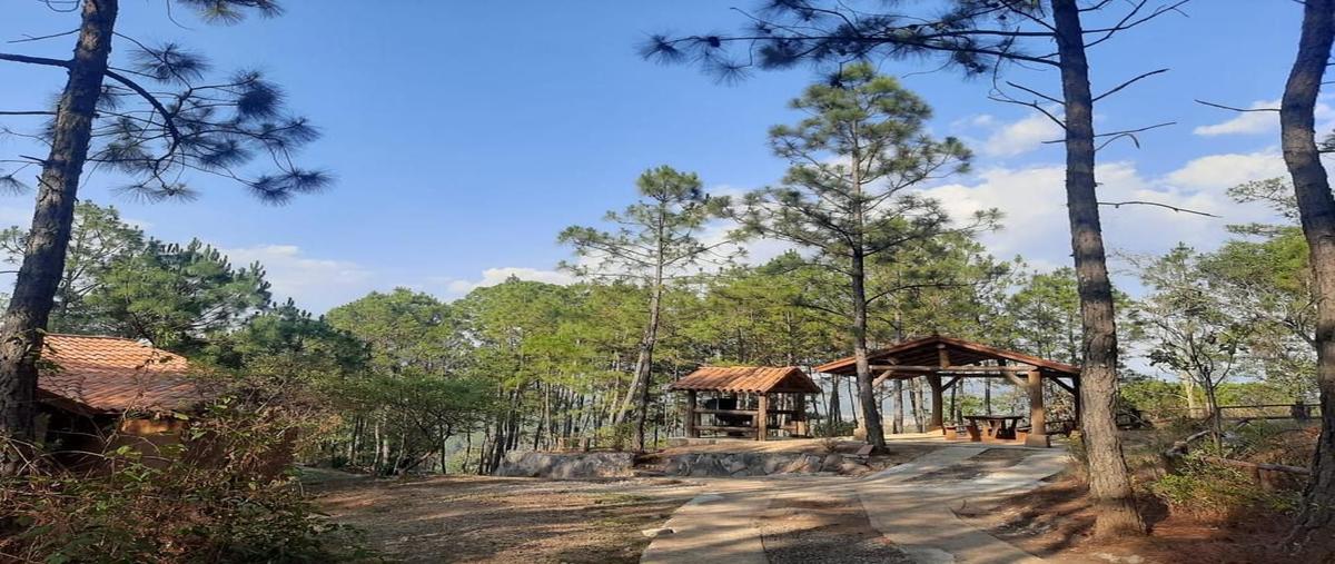 Foto de terreno habitacional en venta en 0 0, mazamitla, mazamitla, jalisco, 0 No. 01