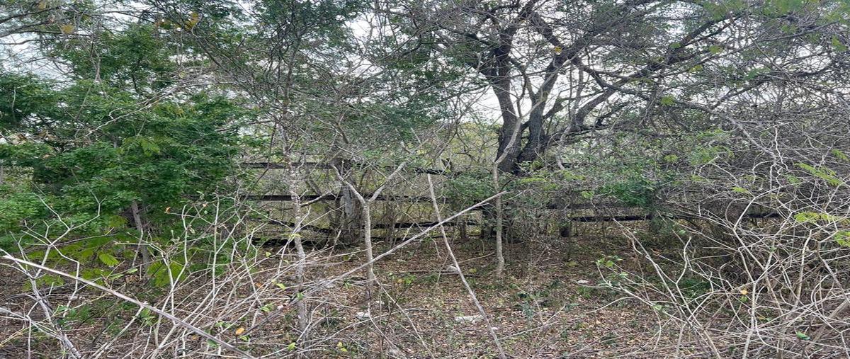 Foto de terreno comercial en venta en 0 , aldama, aldama, tamaulipas, 28174628 No. 04