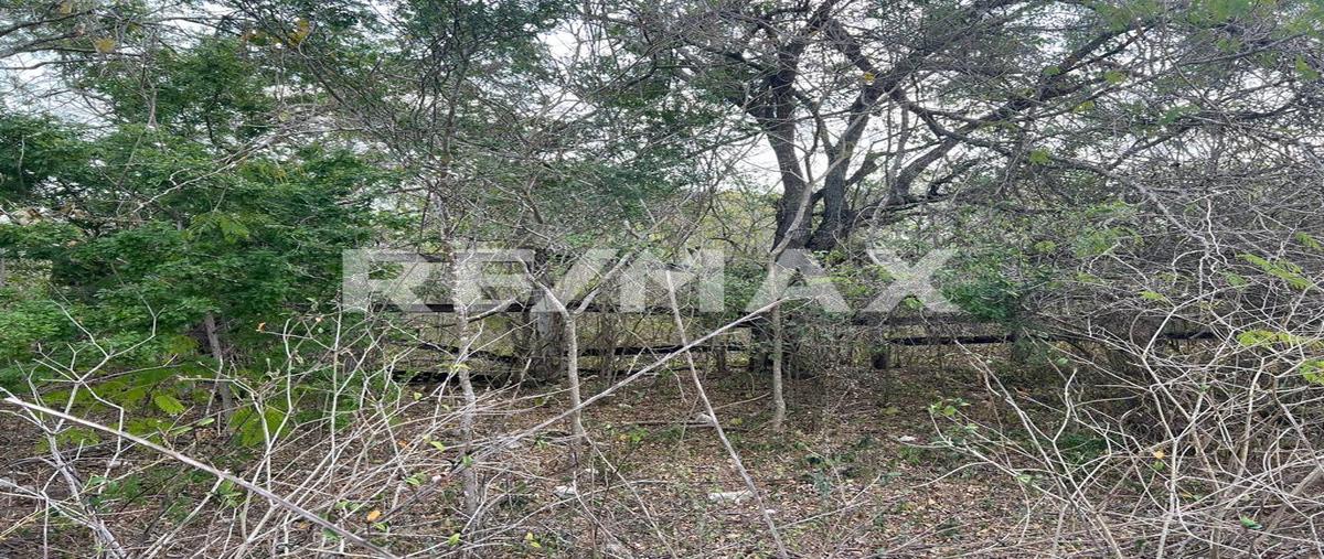 Foto de terreno comercial en venta en 0 , aldama, aldama, tamaulipas, 0 No. 04