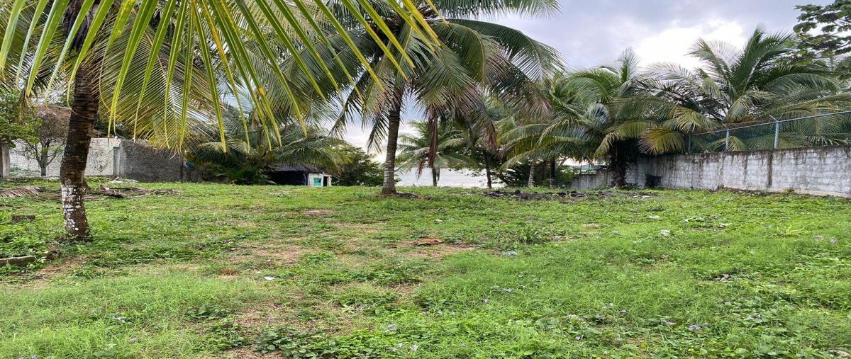 Foto de terreno habitacional en venta en 0 , andrés quintana roo, bacalar, quintana roo, 0 No. 05