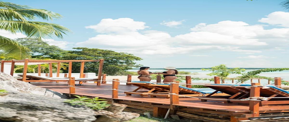 Foto de edificio en venta en 0 , bacalar dos, bacalar, quintana roo, 0 No. 03