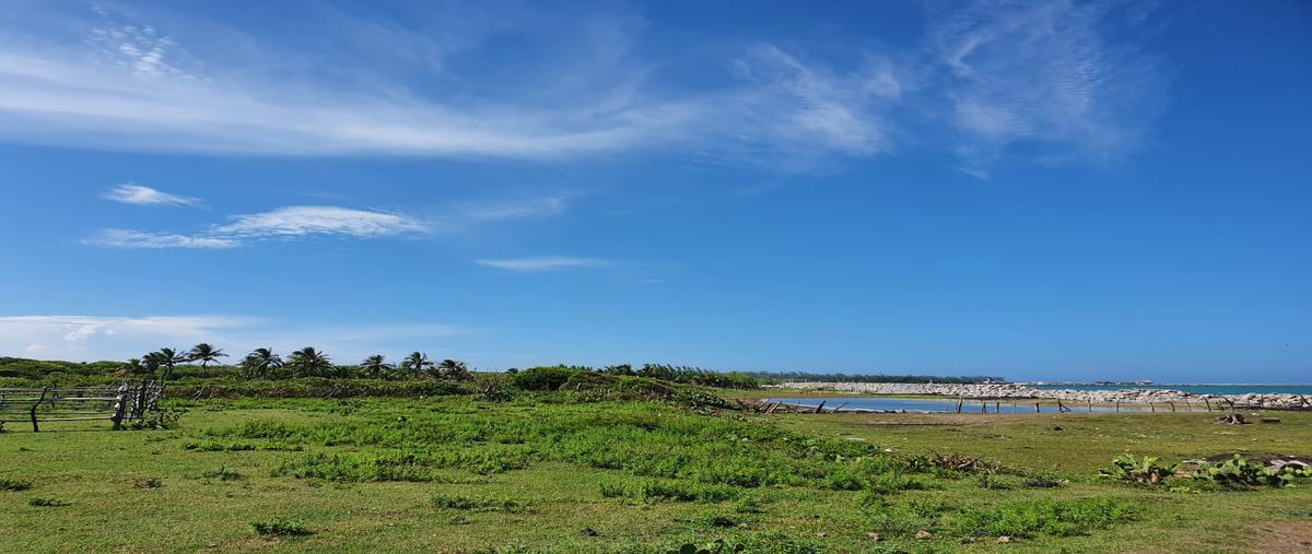 Foto de terreno habitacional en venta en 0 , bella vista, pueblo viejo, veracruz de ignacio de la llave, 28174427 No. 03