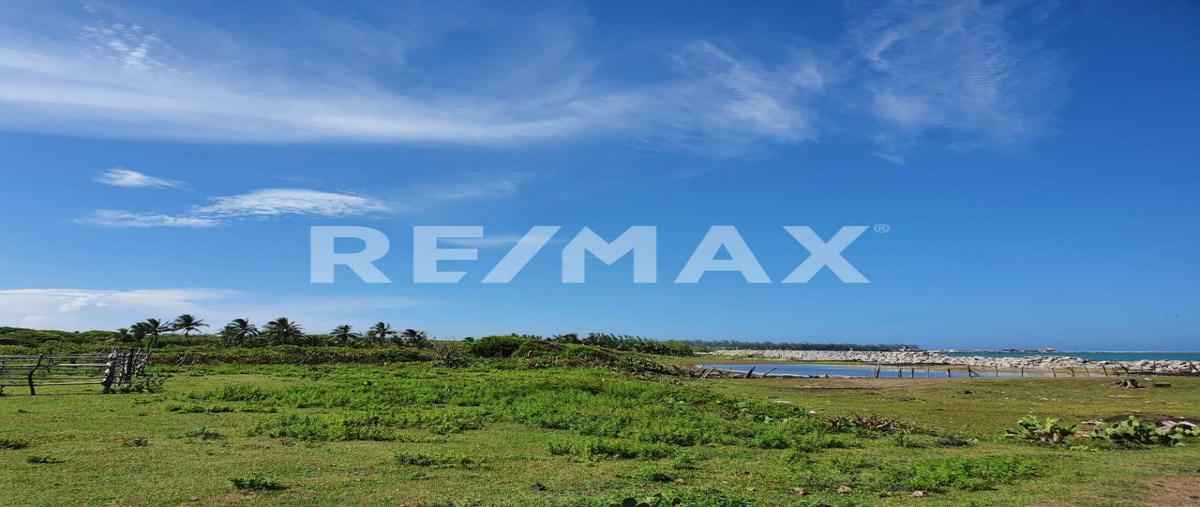 Foto de terreno habitacional en venta en 0 , bella vista, pueblo viejo, veracruz de ignacio de la llave, 0 No. 03