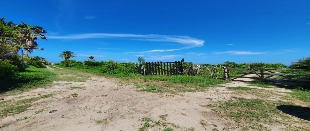 Foto de terreno habitacional en venta en 0 , bella vista, pueblo viejo, veracruz de ignacio de la llave, 28174427 No. 04