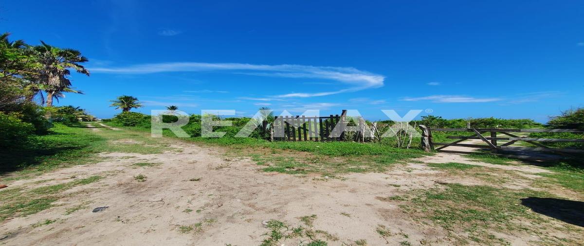 Foto de terreno habitacional en venta en 0 , bella vista, pueblo viejo, veracruz de ignacio de la llave, 0 No. 04