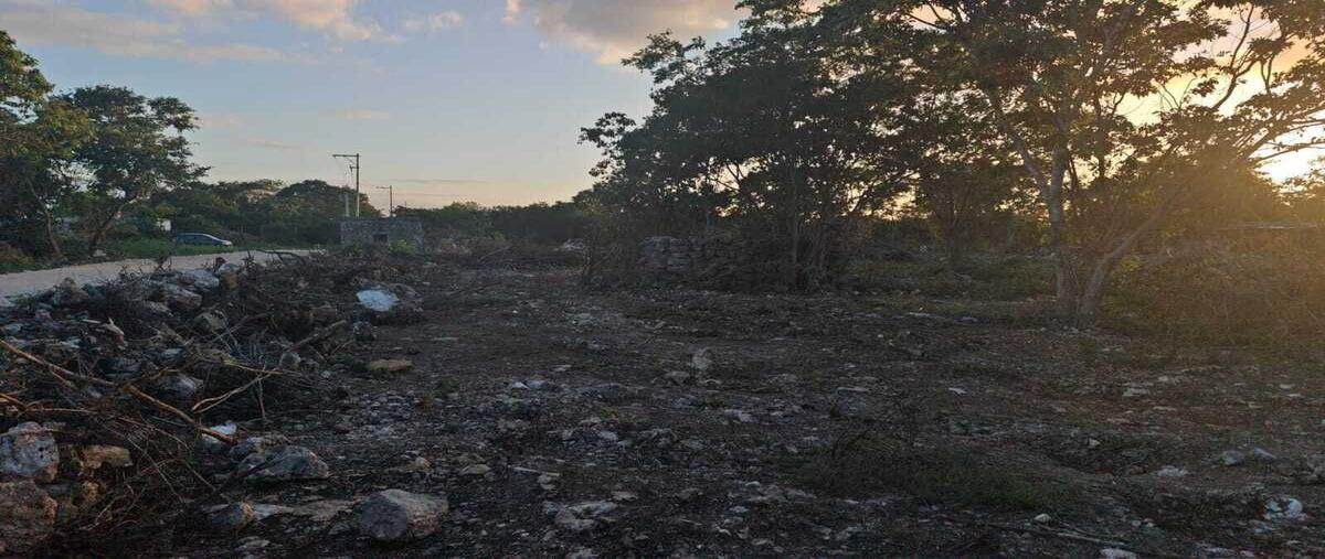Foto de terreno habitacional en venta en 0 , centro hunucmá, hunucmá, yucatán, 0 No. 03