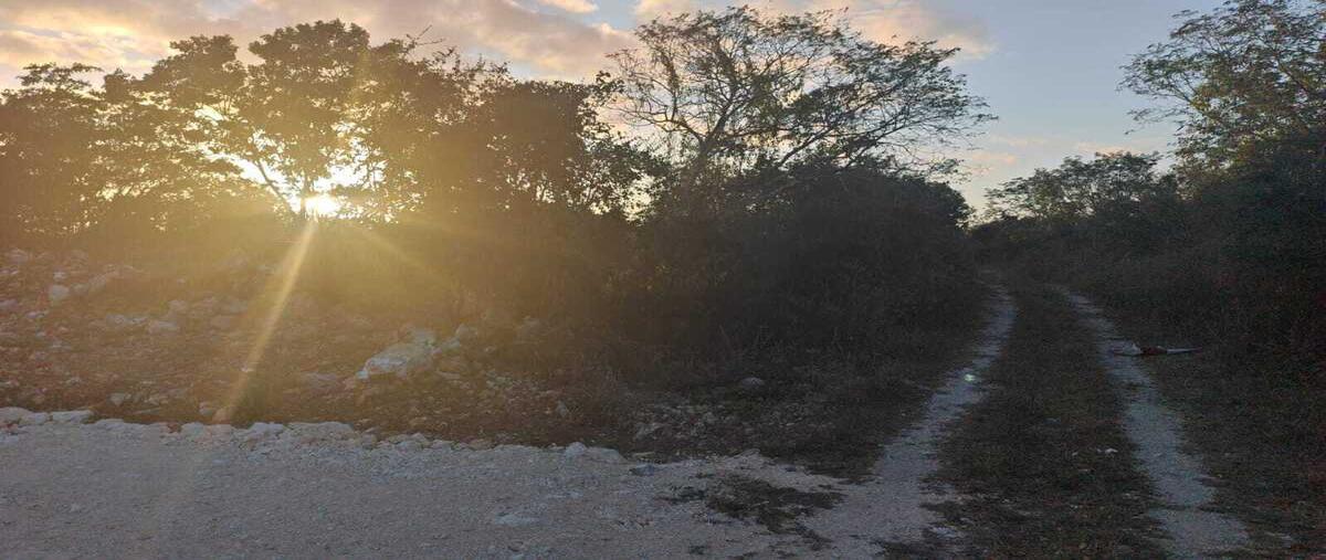 Foto de terreno habitacional en venta en 0 , centro hunucmá, hunucmá, yucatán, 29979134 No. 05