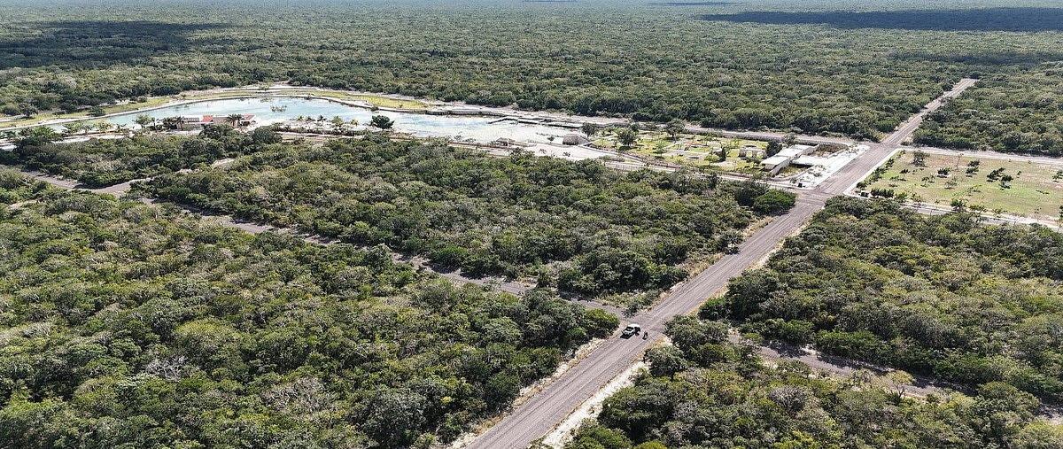 Foto de terreno habitacional en venta en 0 , centro hunucmá, hunucmá, yucatán, 0 No. 03