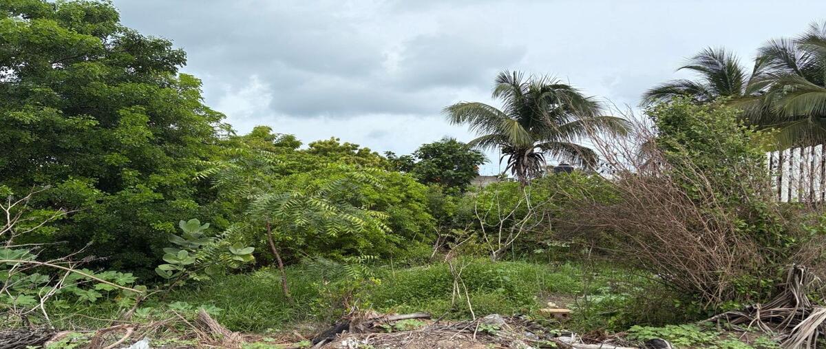 Foto de terreno habitacional en venta en 0 , chelem, progreso, yucatán, 0 No. 05