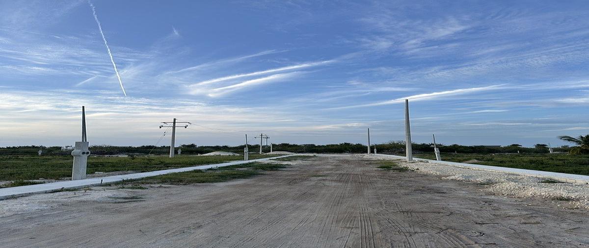 Foto de terreno habitacional en venta en 0 , chelem, progreso, yucatán, 0 No. 03