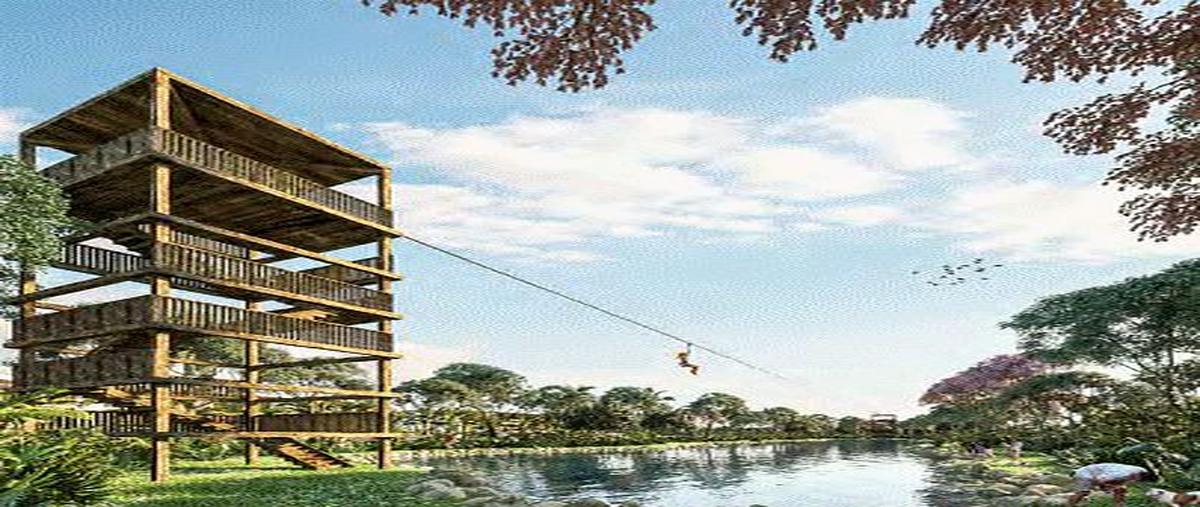 Foto de terreno habitacional en venta en 0 , chicxulub, chicxulub pueblo, yucatán, 0 No. 06