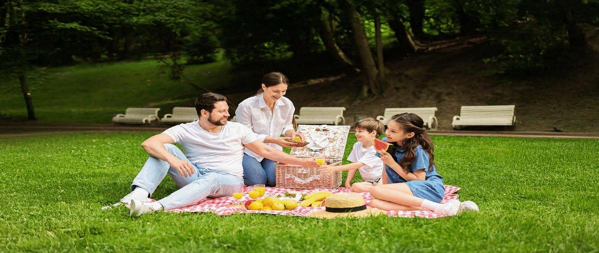 Foto de terreno habitacional en venta en 0 , chicxulub, chicxulub pueblo, yucatán, 0 No. 13