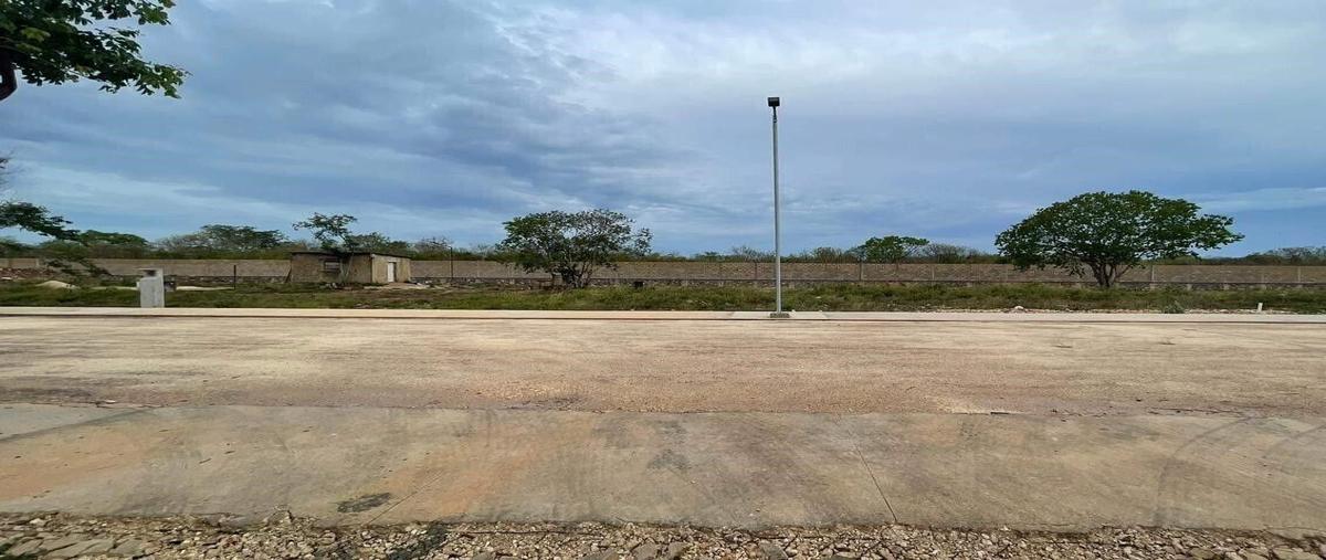 Foto de terreno habitacional en venta en 0 , cholul, mérida, yucatán, 0 No. 03