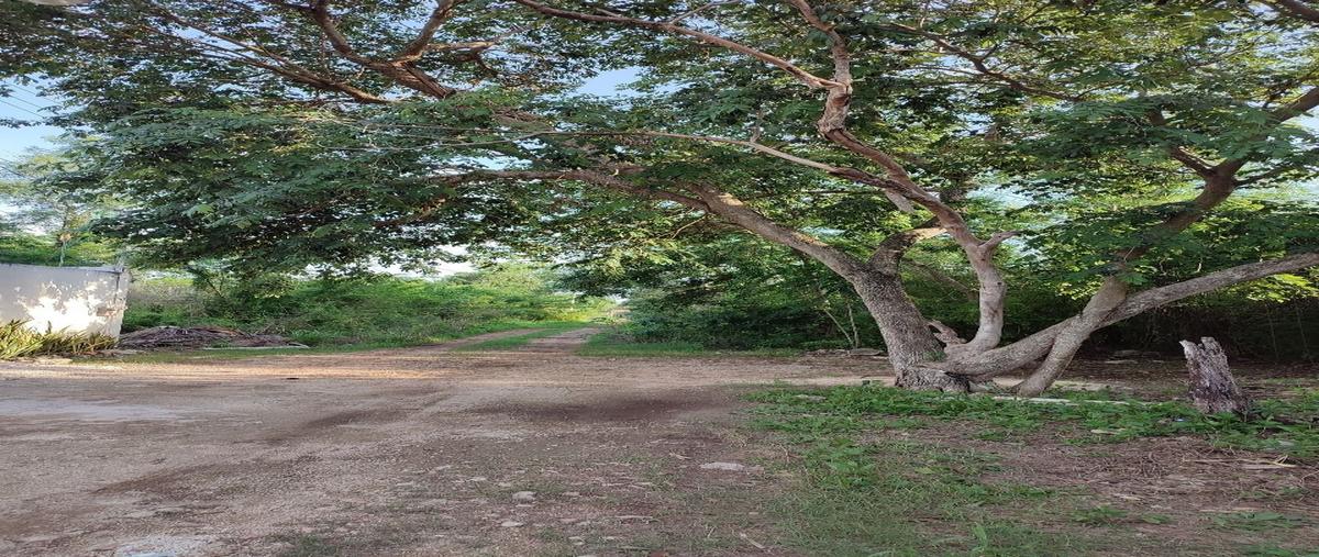 Foto de terreno habitacional en venta en 0 , cholul, mérida, yucatán, 0 No. 03