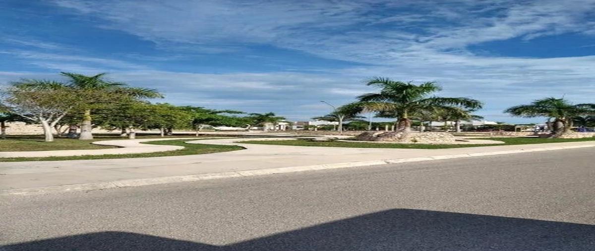 Foto de terreno habitacional en venta en 0 , cholul, mérida, yucatán, 0 No. 04