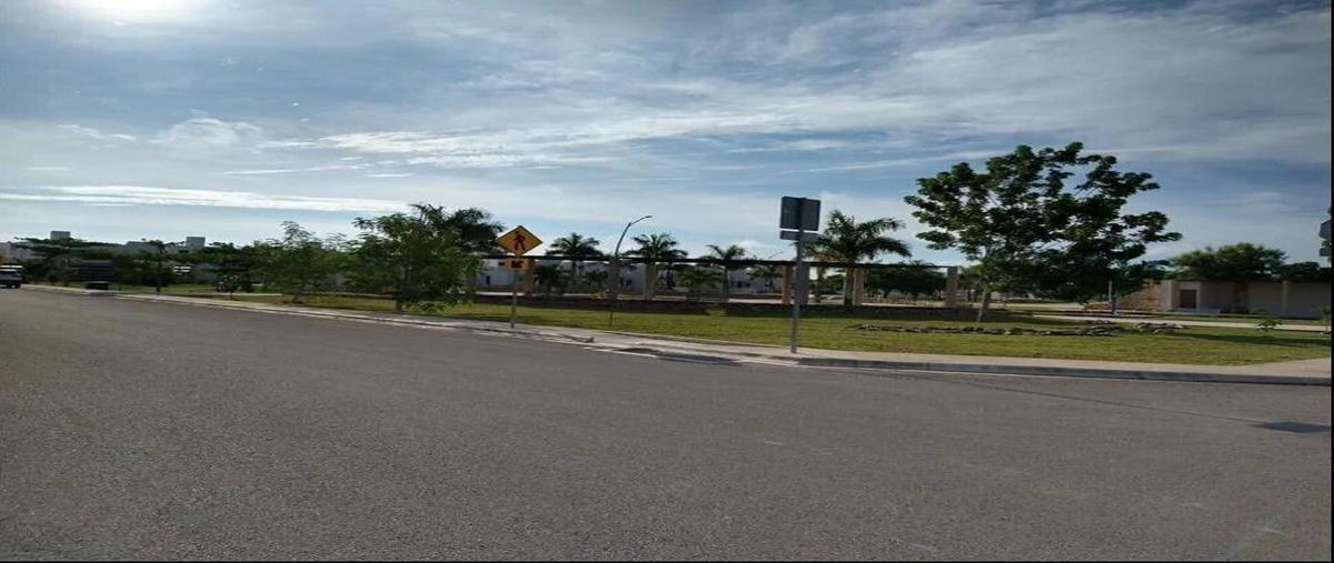 Foto de terreno habitacional en venta en 0 , cholul, mérida, yucatán, 0 No. 05