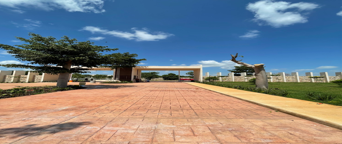 Foto de terreno habitacional en venta en 0 , cholul, mérida, yucatán, 0 No. 03