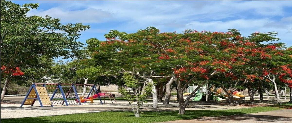 Foto de terreno habitacional en venta en 0 , conkal, conkal, yucatán, 0 No. 04