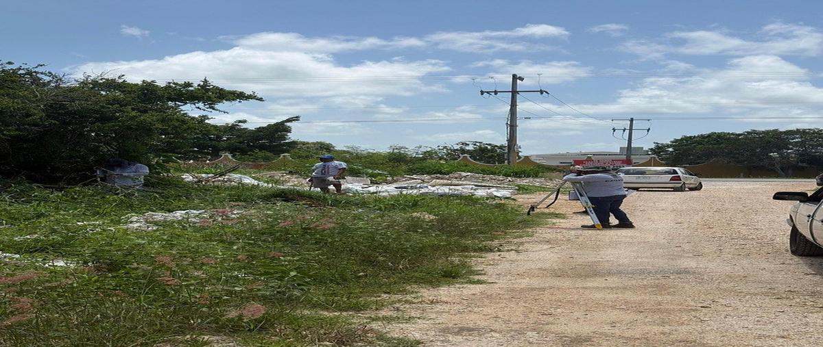 Foto de terreno habitacional en venta en 0 , conkal, conkal, yucatán, 0 No. 04