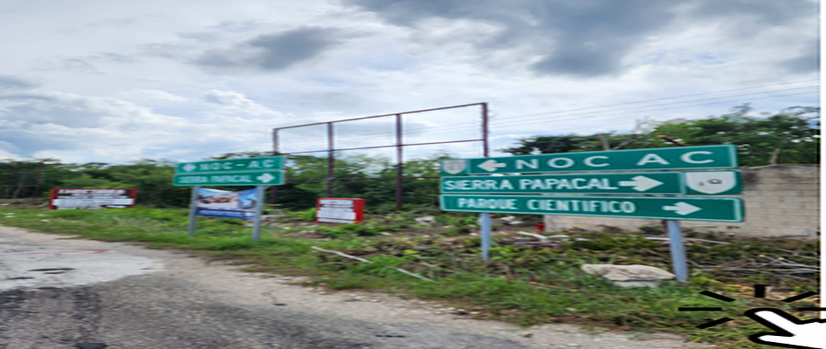 Foto de terreno habitacional en venta en 0 , conkal, conkal, yucatán, 0 No. 04