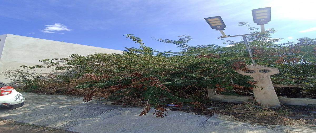 Foto de terreno habitacional en venta en 0 , dzitya, mérida, yucatán, 0 No. 05