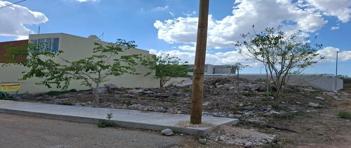 Foto de terreno habitacional en venta en 0 , gran san pedro cholul, mérida, yucatán, 0 No. 03