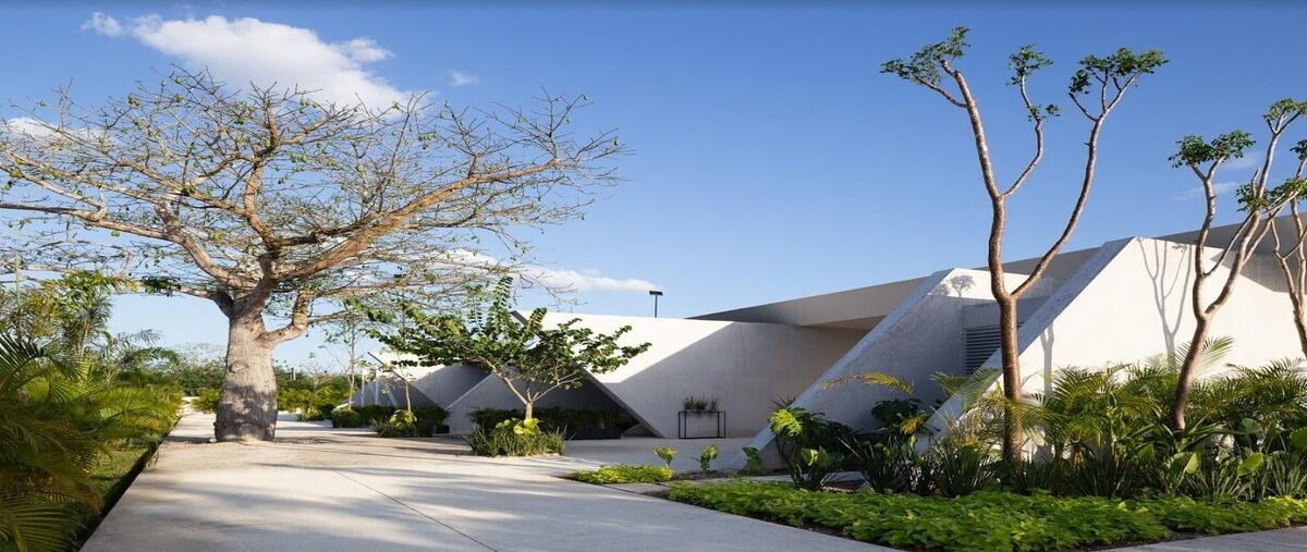 Foto de terreno habitacional en venta en 0 , kiktel, mérida, yucatán, 28440887 No. 04