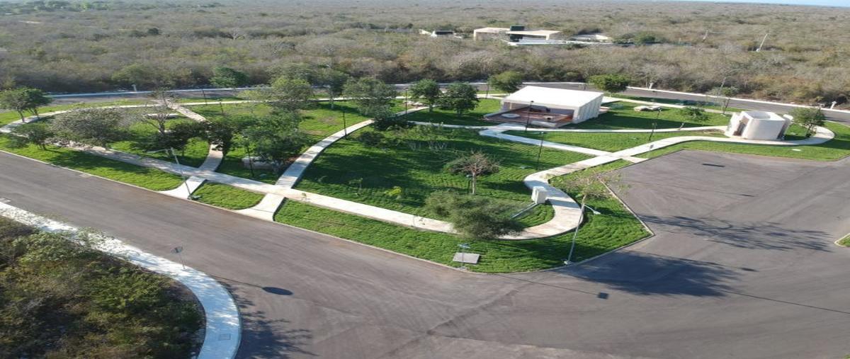 Foto de terreno habitacional en venta en 0 , komchen, mérida, yucatán, 0 No. 05