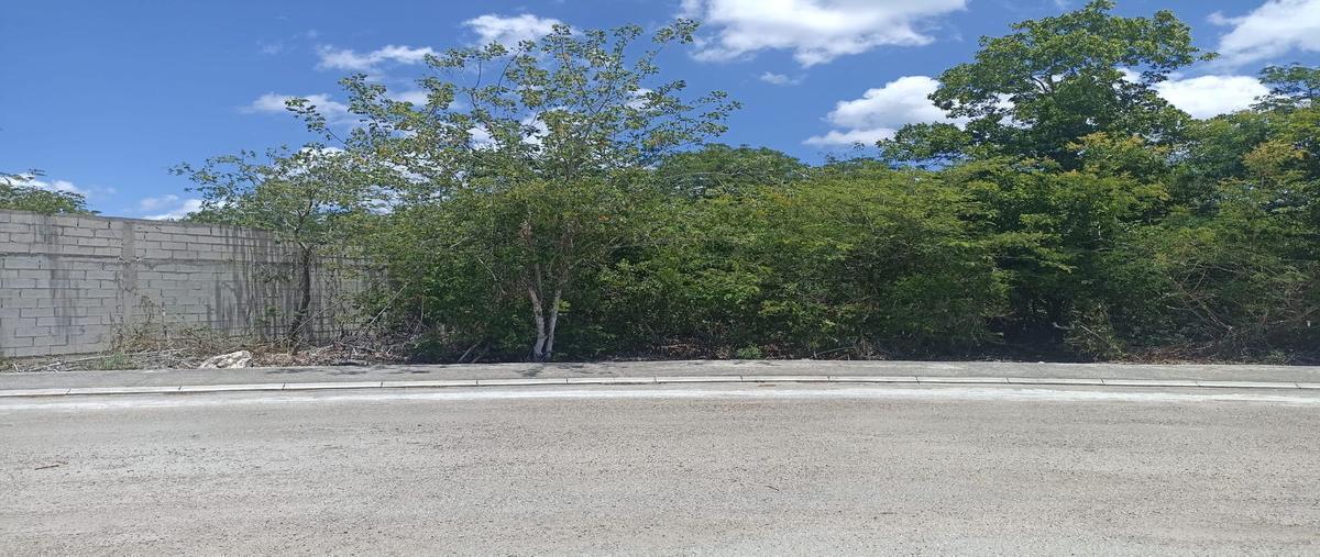 Foto de terreno habitacional en venta en 0 , la rejoyada, mérida, yucatán, 0 No. 03