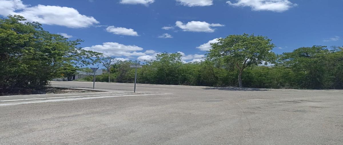 Foto de terreno habitacional en venta en 0 , la rejoyada, mérida, yucatán, 0 No. 05