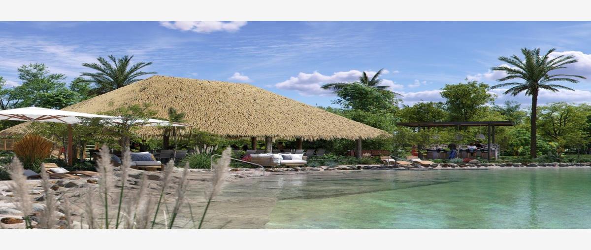 Foto de terreno comercial en venta en 0 lote 20, selvamar, solidaridad, quintana roo, 27241503 No. 02
