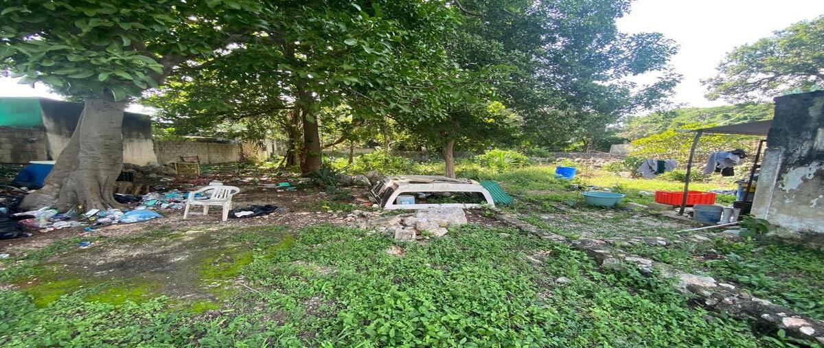 Foto de terreno habitacional en venta en 0 , merida centro, mérida, yucatán, 0 No. 05