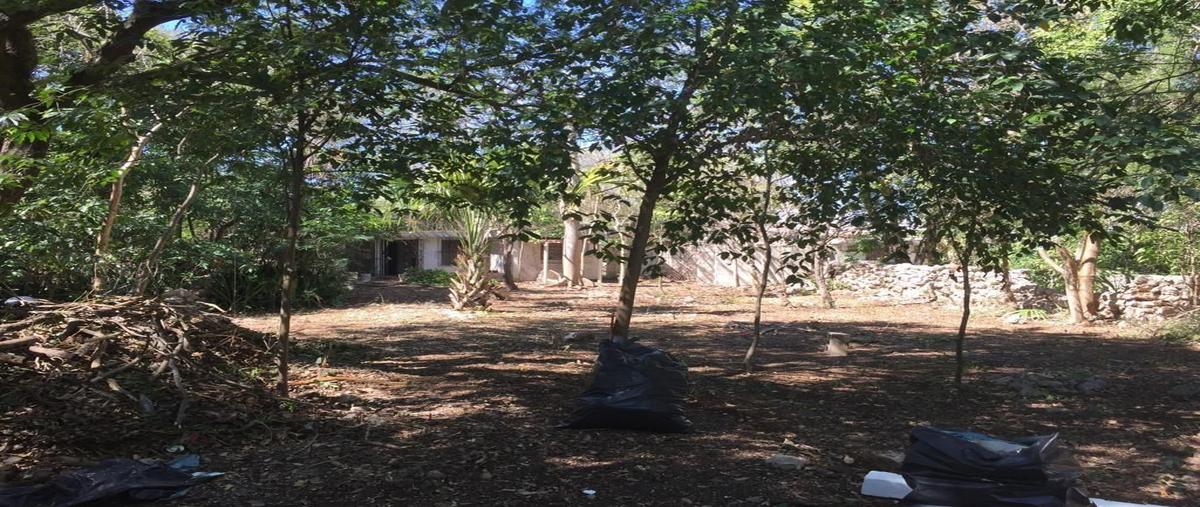 Foto de casa en venta en 0 , merida centro, mérida, yucatán, 0 No. 05