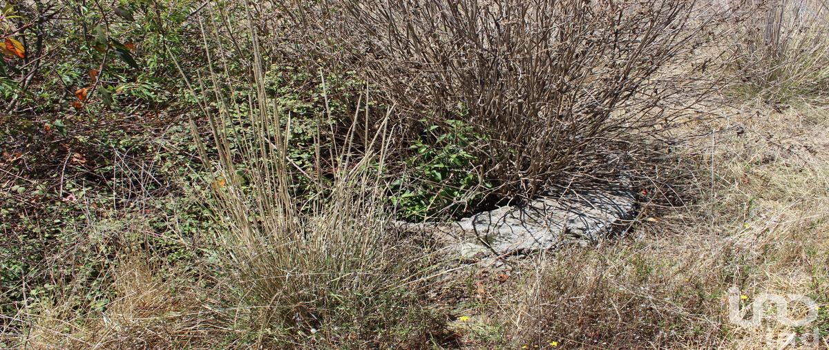 Foto de terreno comercial en venta en 0 , monte de peña, villa del carbón, méxico, 28723813 No. 03