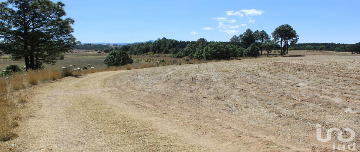 Foto de terreno comercial en venta en 0 , monte de peña, villa del carbón, méxico, 28723813 No. 04