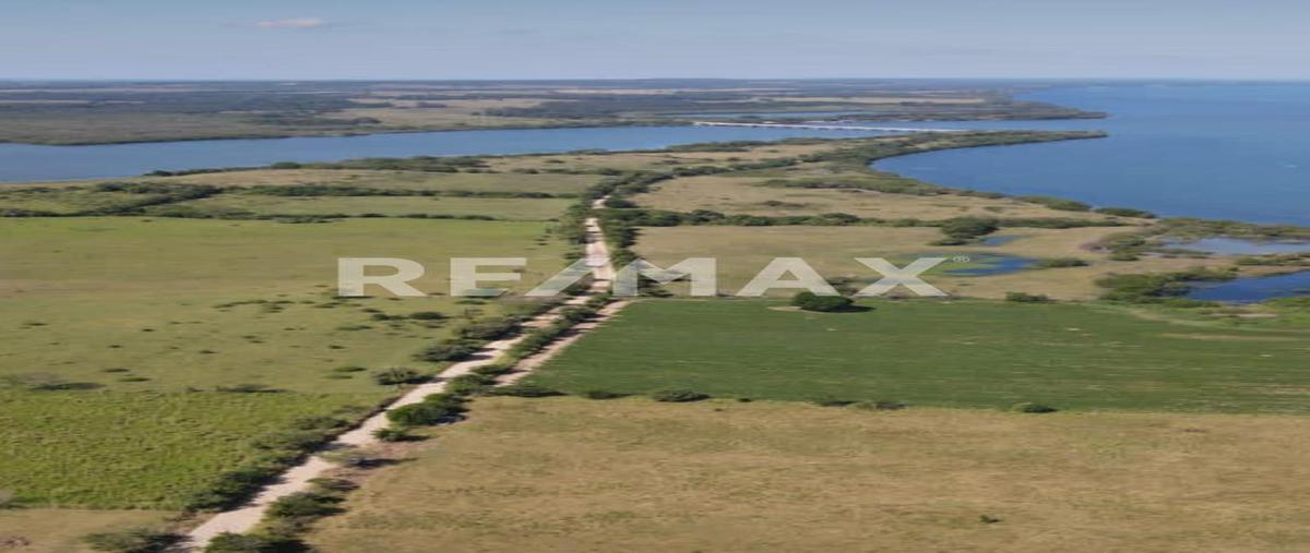 Foto de terreno habitacional en venta en 0 , moreno (isla juan a. ramírez), ozuluama de mascareñas, veracruz de ignacio de la llave, 0 No. 04