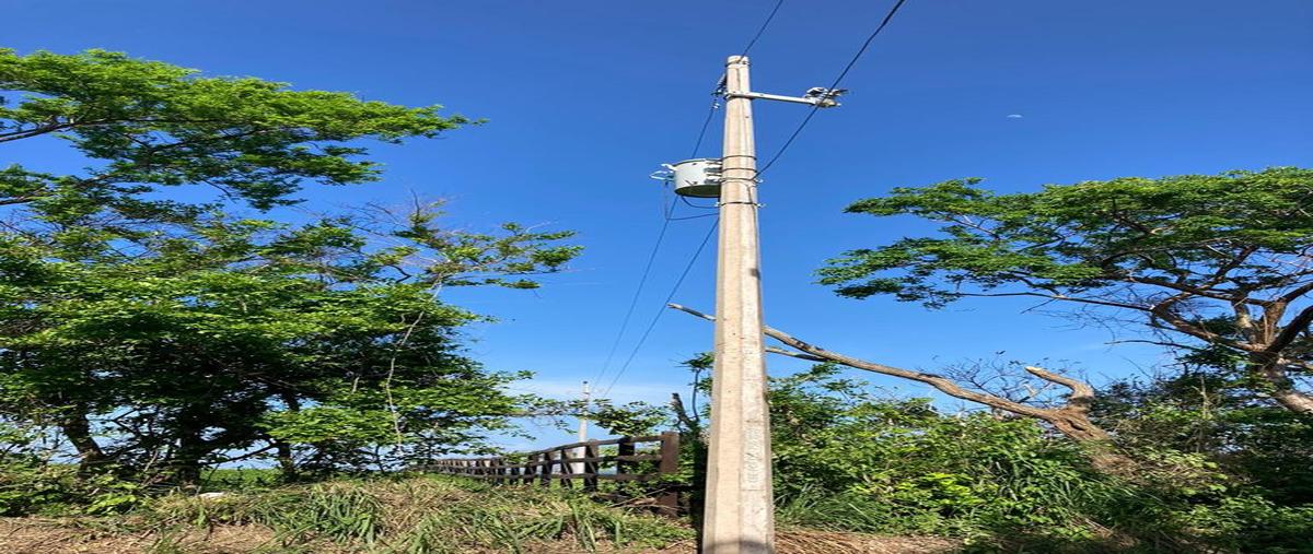 Foto de terreno habitacional en venta en 0 , moreno (isla juan a. ramírez), ozuluama de mascareñas, veracruz de ignacio de la llave, 28174679 No. 05