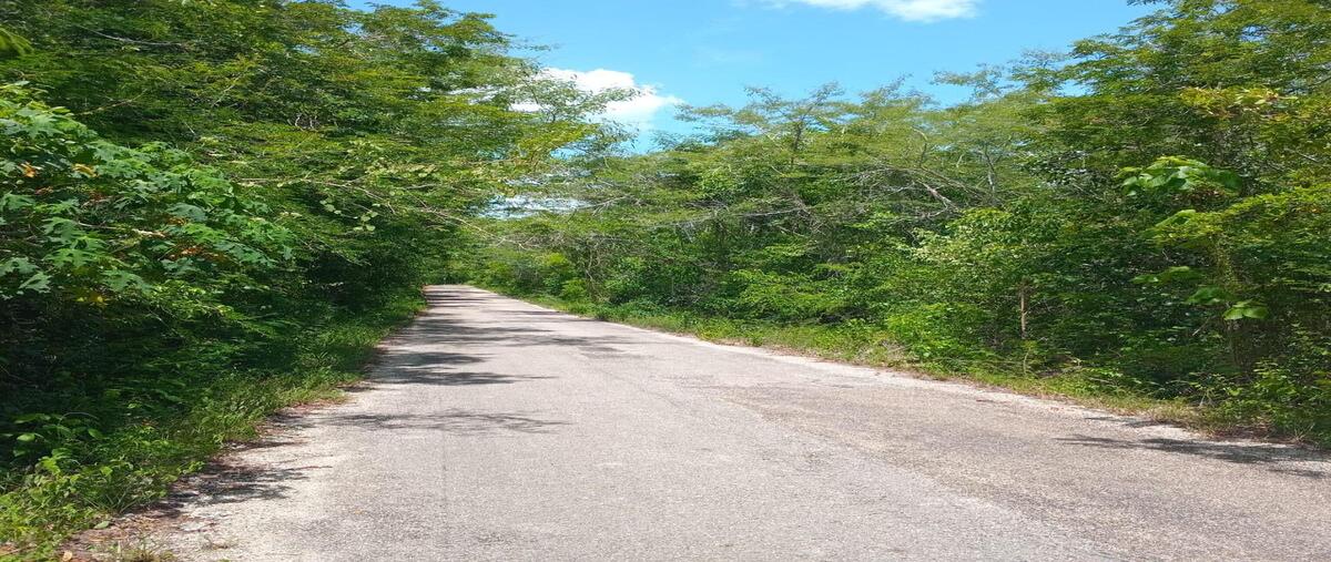 Foto de terreno habitacional en venta en 0 , nohsuytun, valladolid, yucatán, 0 No. 05