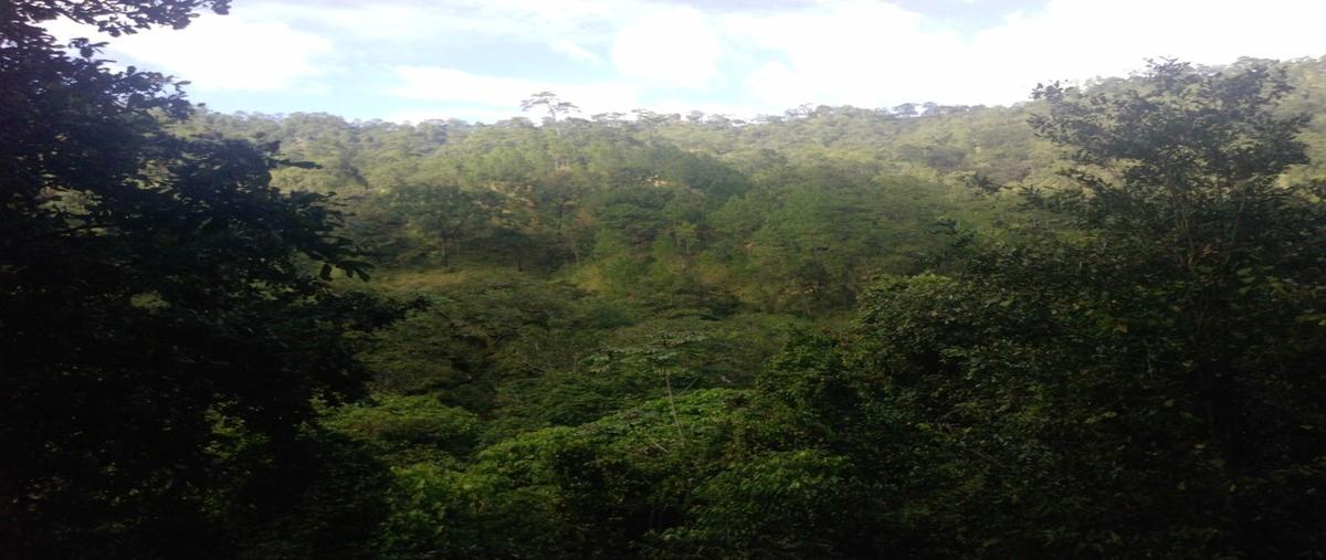 Foto de terreno habitacional en venta en 0 , nuevo vicente guerrero, villa corzo, chiapas, 0 No. 03