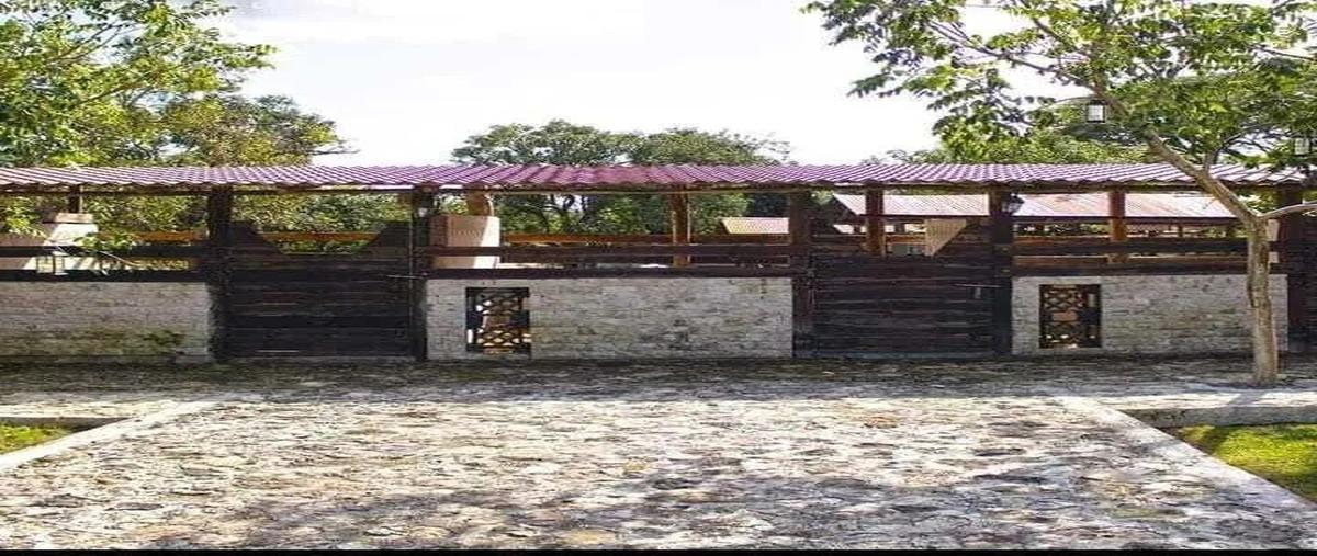 Foto de rancho en venta en 0 , panaba, panabá, yucatán, 29080657 No. 04