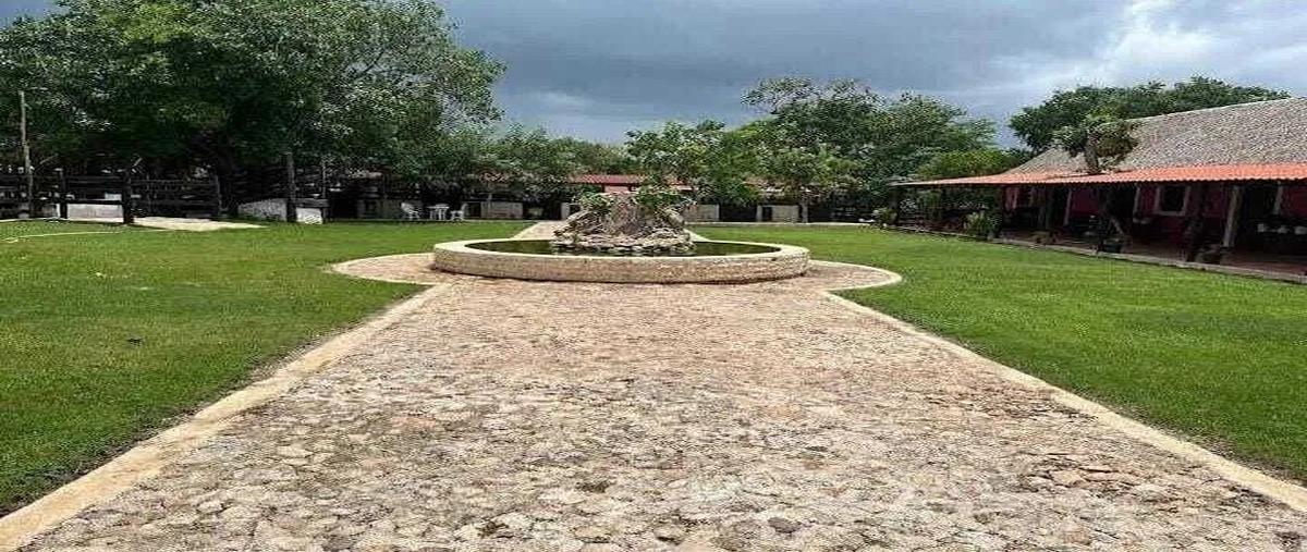 Foto de rancho en venta en 0 , panaba, panabá, yucatán, 29080657 No. 05