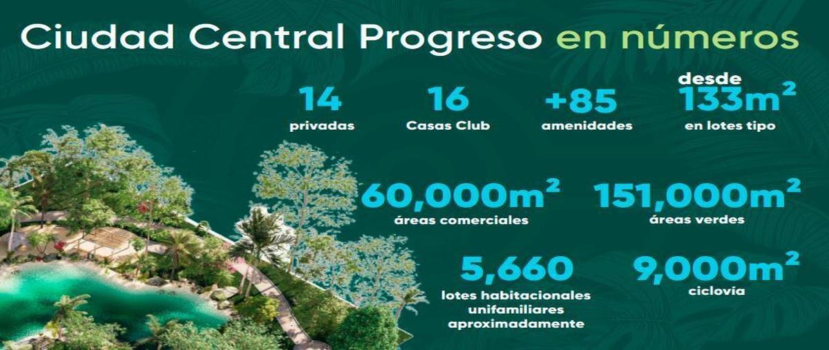 Foto de terreno habitacional en venta en 0 , paraíso, mérida, yucatán, 0 No. 05