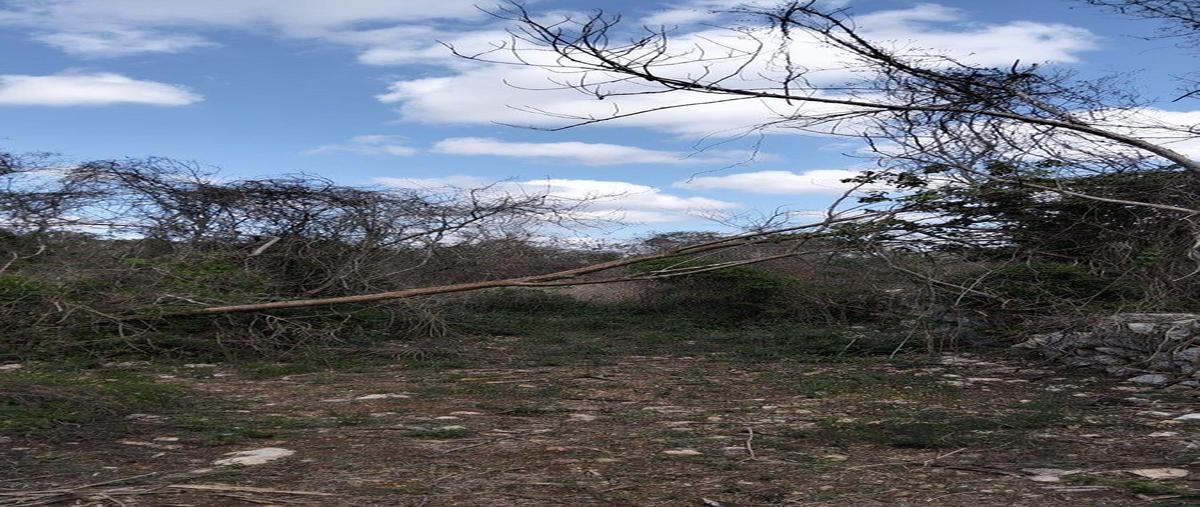 Foto de terreno habitacional en venta en 0 , sahe, tixpéhual, yucatán, 30786158 No. 03