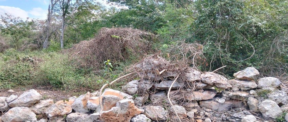 Foto de terreno habitacional en venta en 0 , sahe, tixpéhual, yucatán, 30786158 No. 05