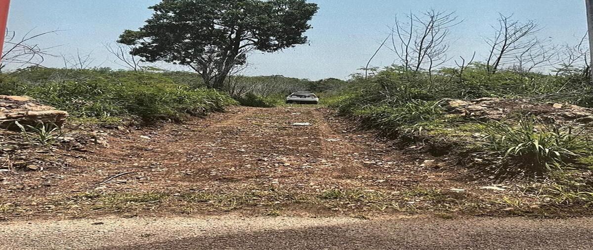 Foto de terreno habitacional en venta en 0 , san antonio chel, hunucmá, yucatán, 0 No. 04