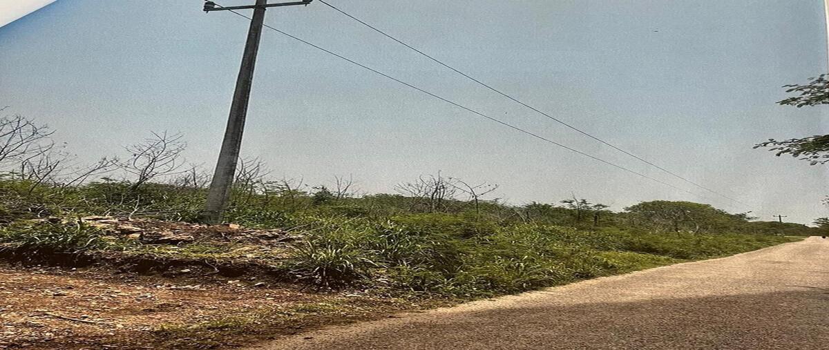 Foto de terreno habitacional en venta en 0 , san antonio chel, hunucmá, yucatán, 0 No. 05