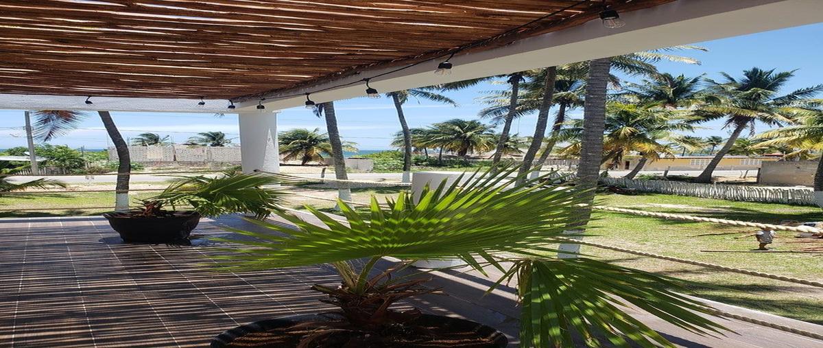 Foto de terreno habitacional en venta en 0 , san crisanto, sinanché, yucatán, 0 No. 05