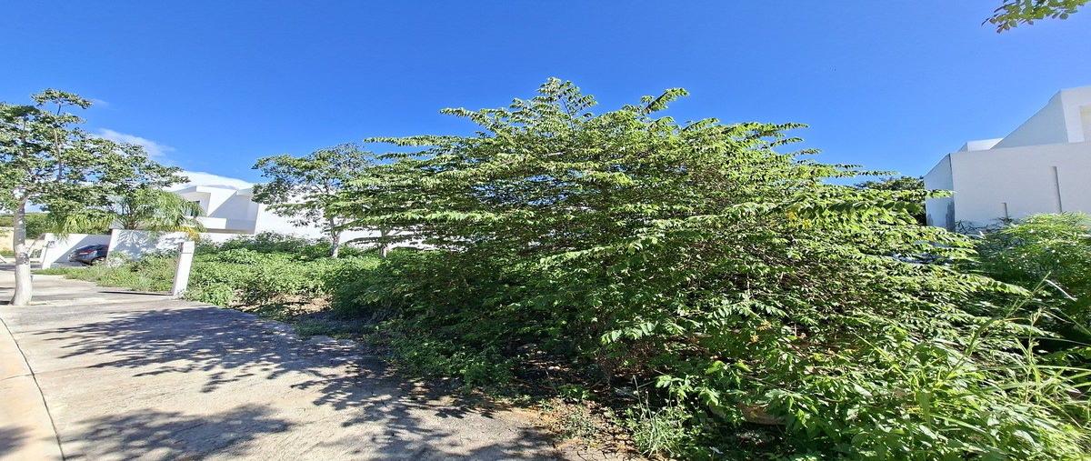 Foto de terreno habitacional en venta en 0 , san diego cutz, conkal, yucatán, 0 No. 03